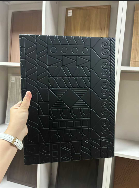 Ingqungquthela yeqembu lesithathu yokwakha iqembu lemibala yesikhathi esizayo ibanjelwe ngempumelelo eChengdu.