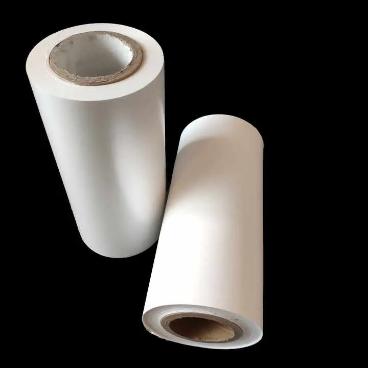 I-Polyester Mylar Pet Film yokufakelwa kanye nokuguquguquka